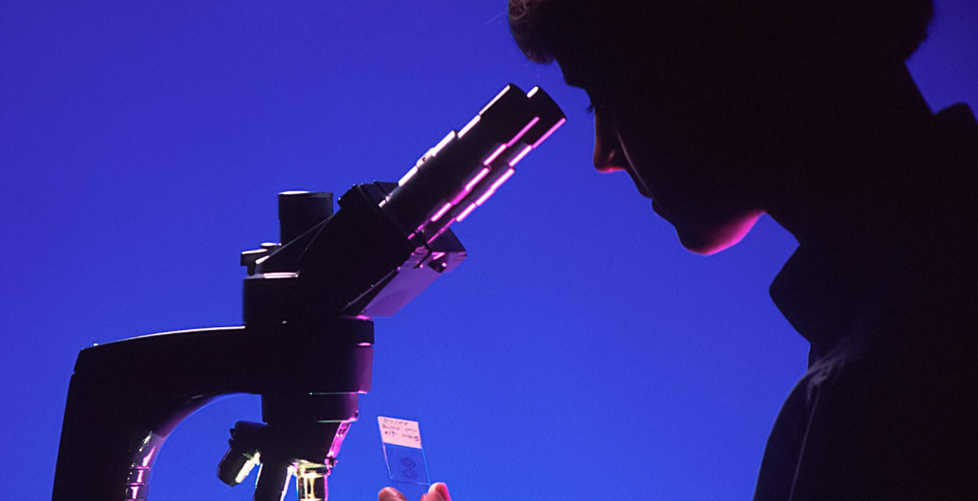 5 steps to close the gender gap in science and technology